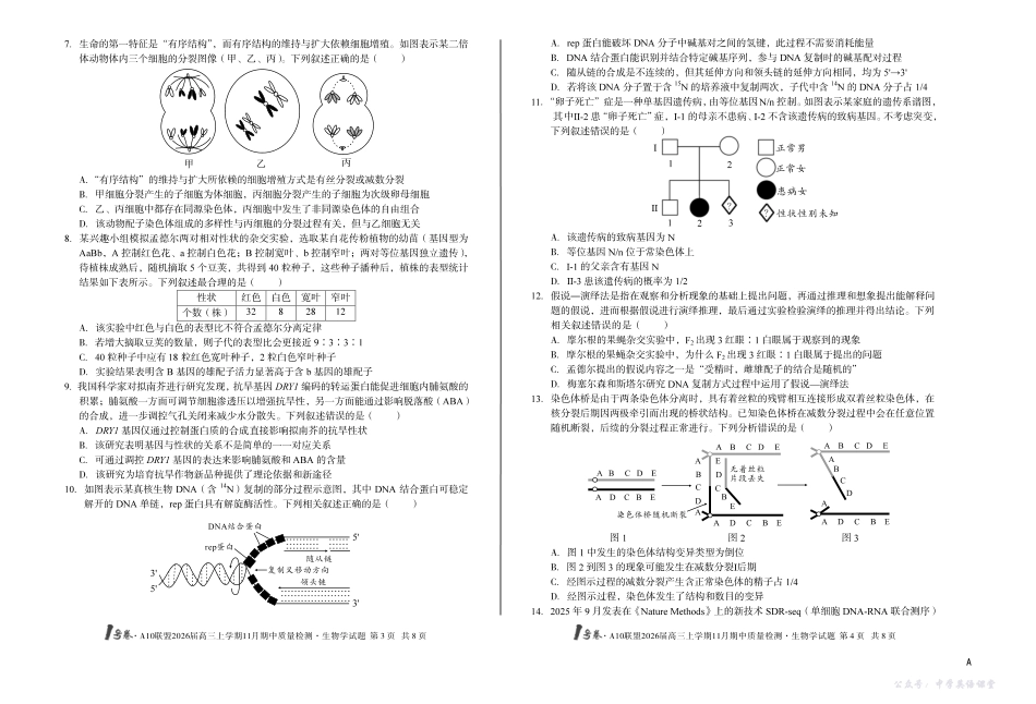 1号卷A10联盟2026届高三上学期11月期中质量检测生物(A卷).pdf_第2页