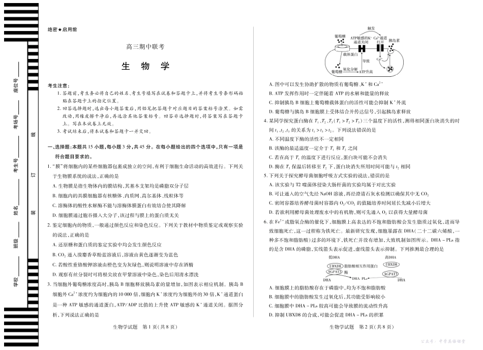 安徽省2026届高三上学期期中联考生物.pdf_第1页