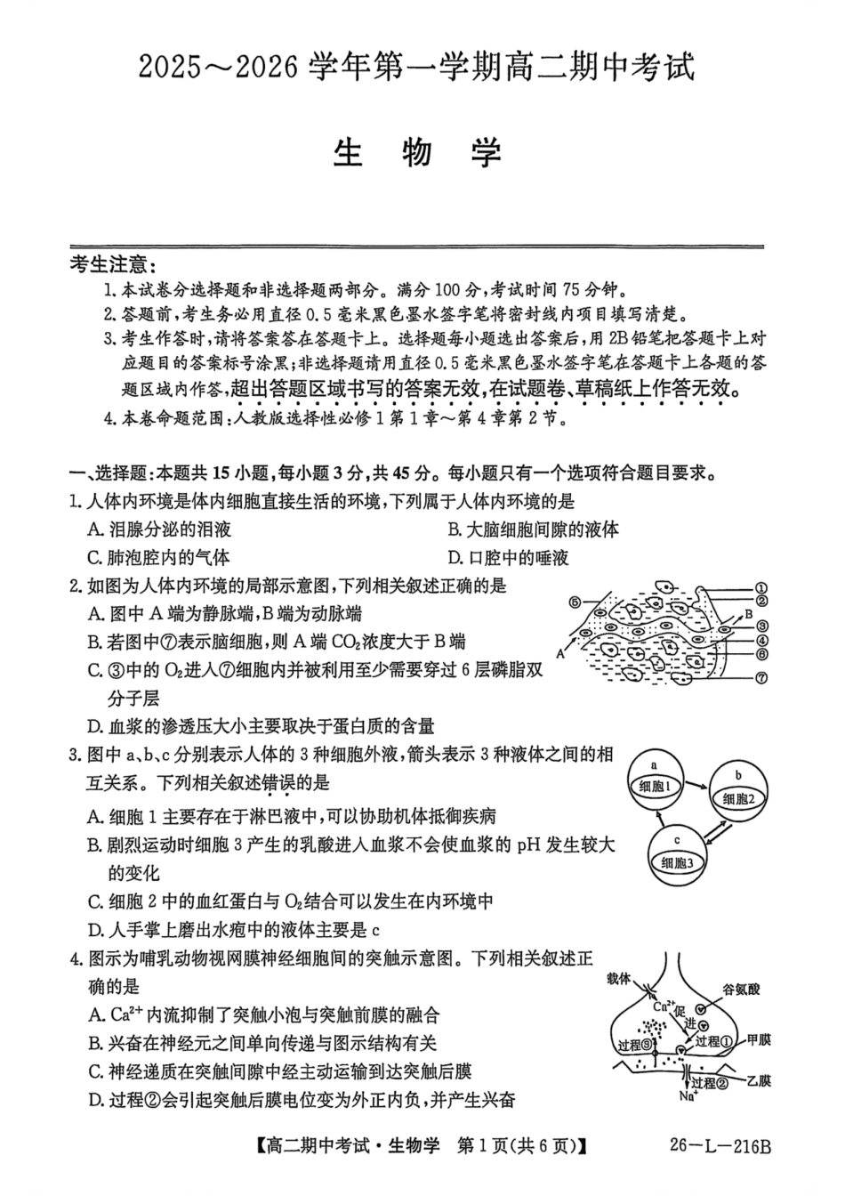 安徽省县中联盟2025-2026学年第一学期高二期中考试（26-L-216B）-生物.pdf_第1页