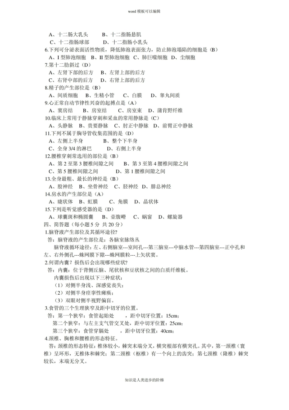 大学-解剖学基础--期末考试试卷及答案.pdf_第2页