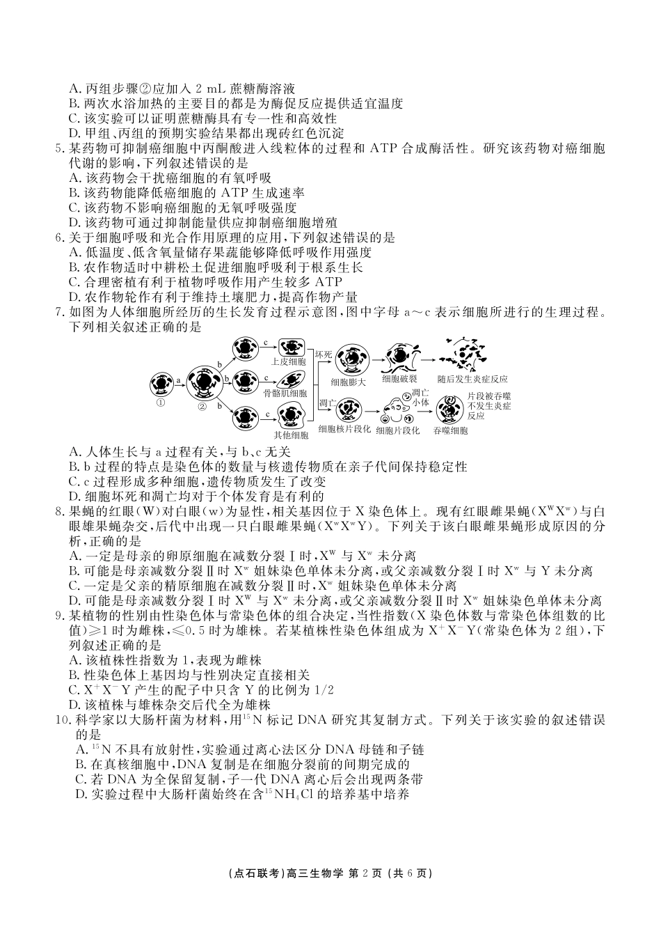 点石联考2025—2026学年度上学期高三年级11月份联合考试生物.pdf_第2页
