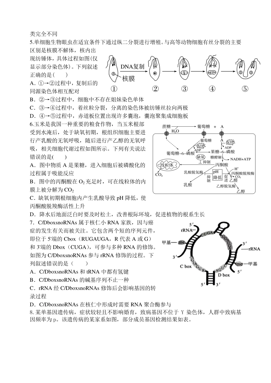 东师附中26届二模生物.pdf_第2页