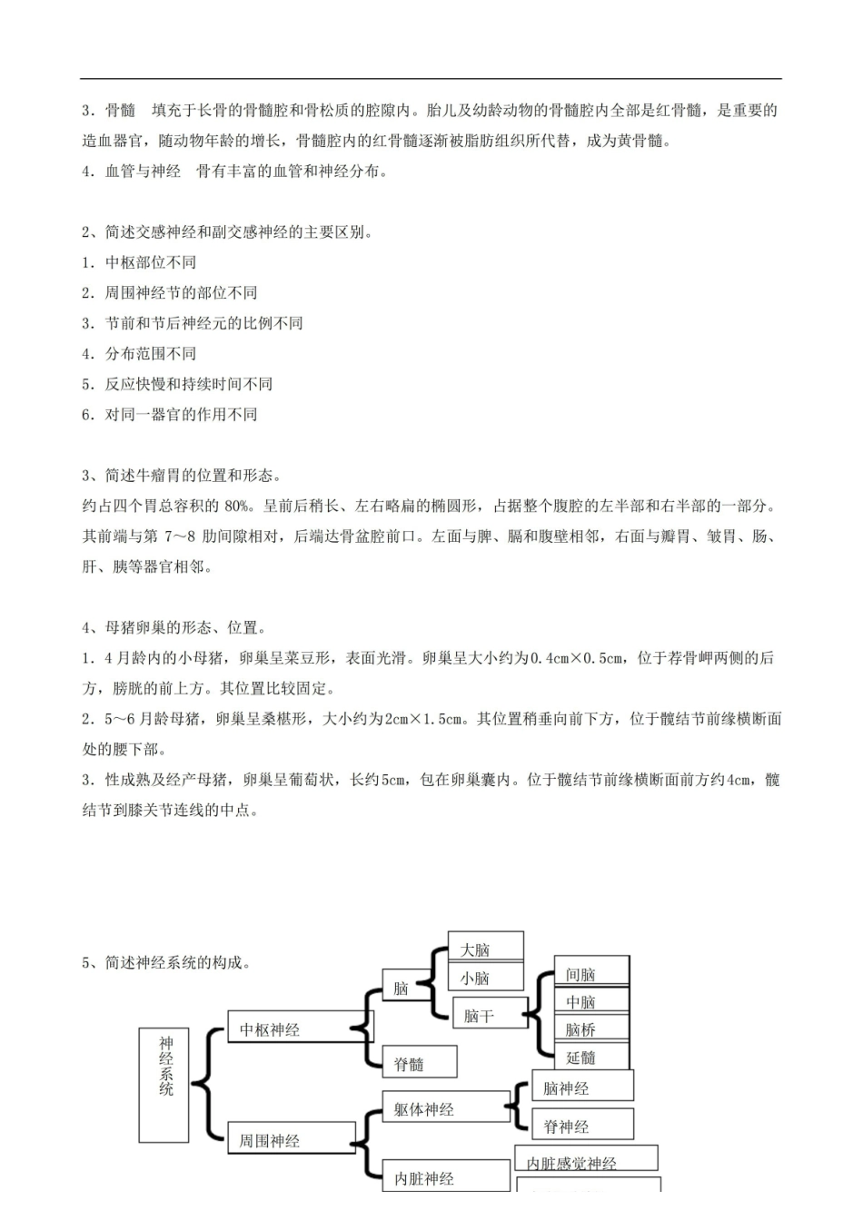 动物解剖学试卷答案A.pdf_第3页