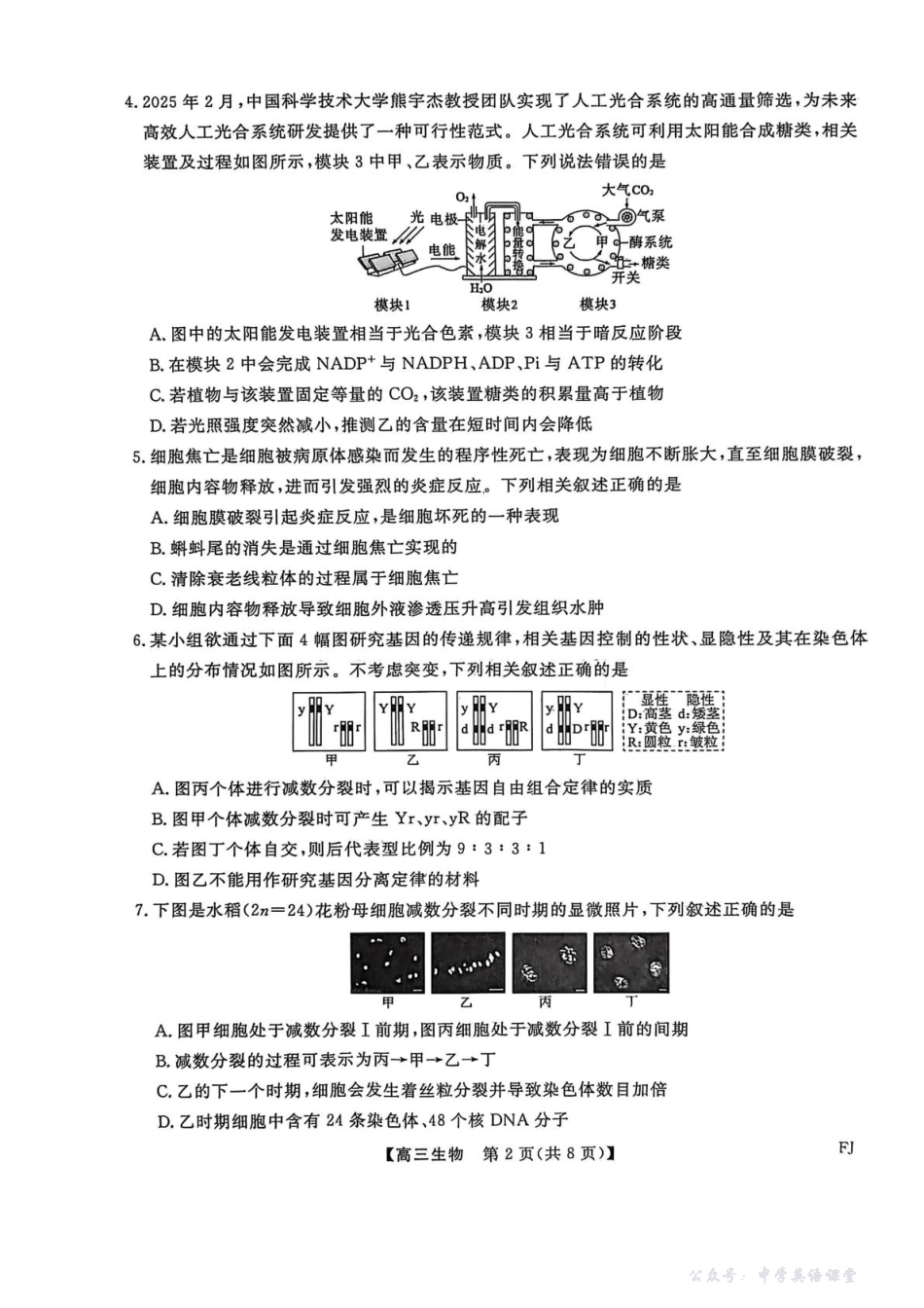 福建省百校2026届高三上学期11月期中联合测评生物试卷(含解析).pdf_第2页