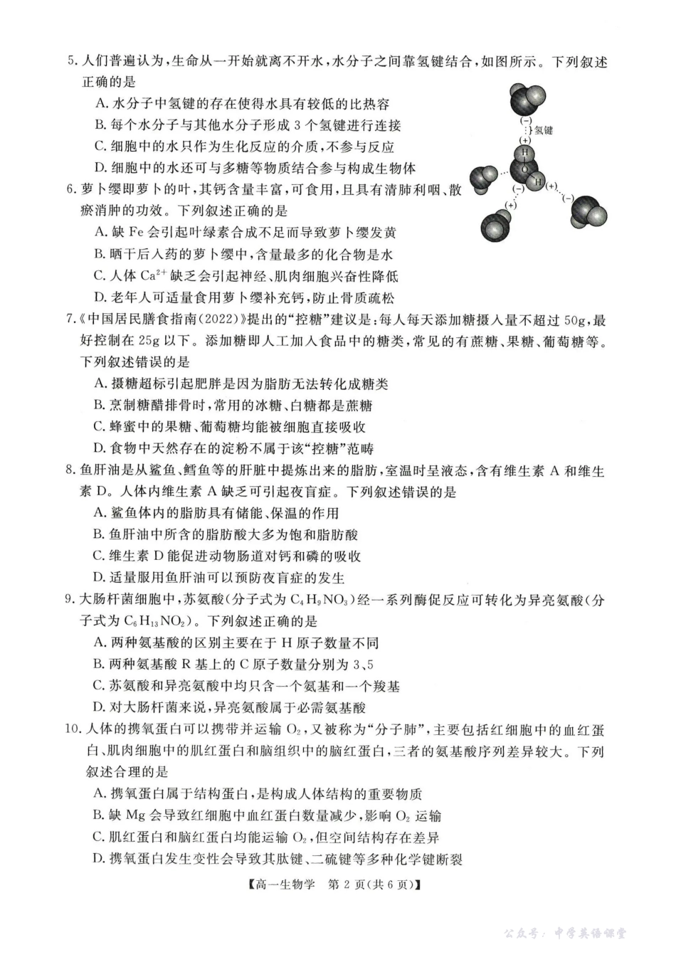 河南省新未来2025-2026学年高一上学期11月质量检测生物试题含答案.pdf_第2页