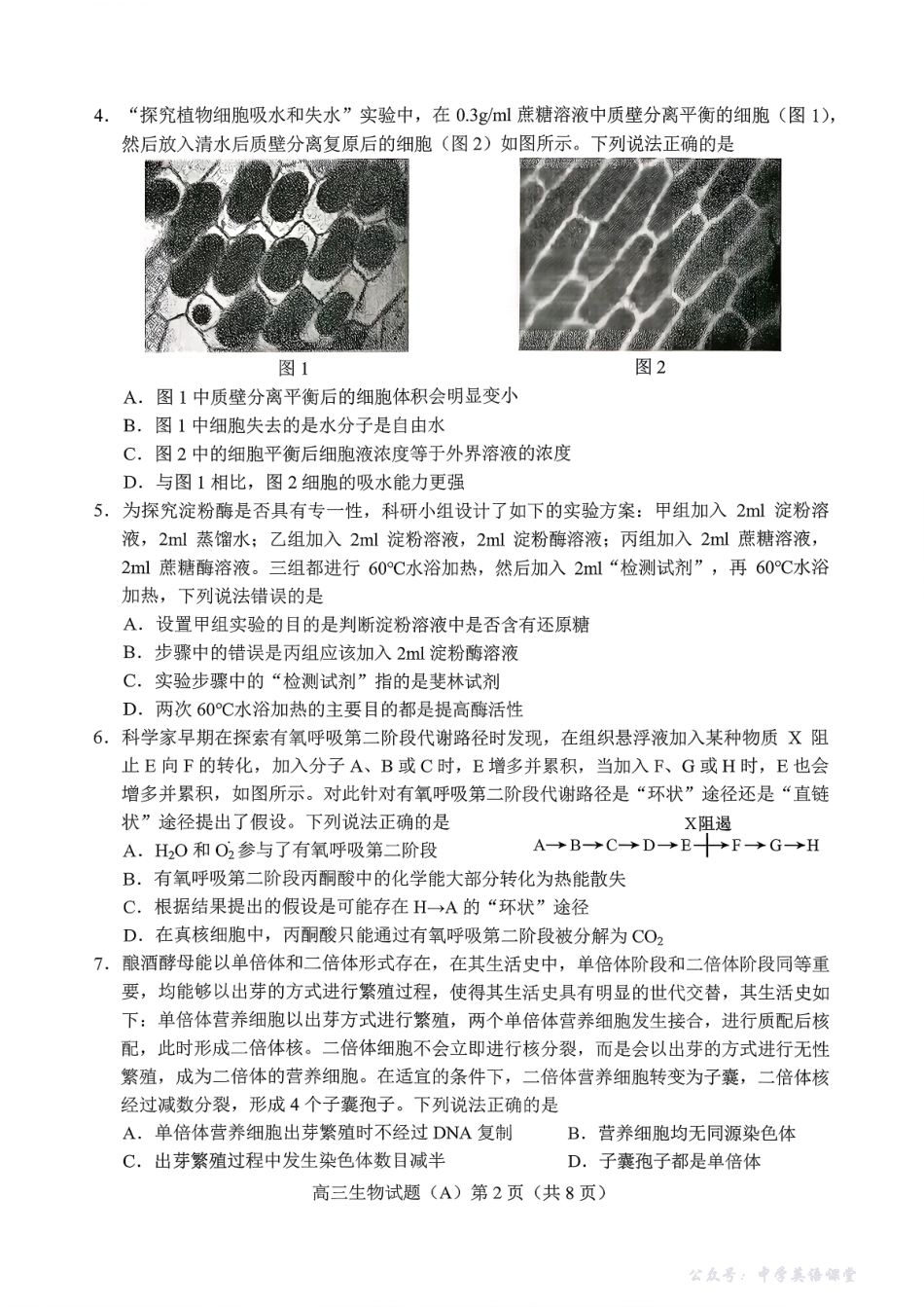 菏泽市A类高中2026届高三第一学期期中考试生物.pdf_第2页
