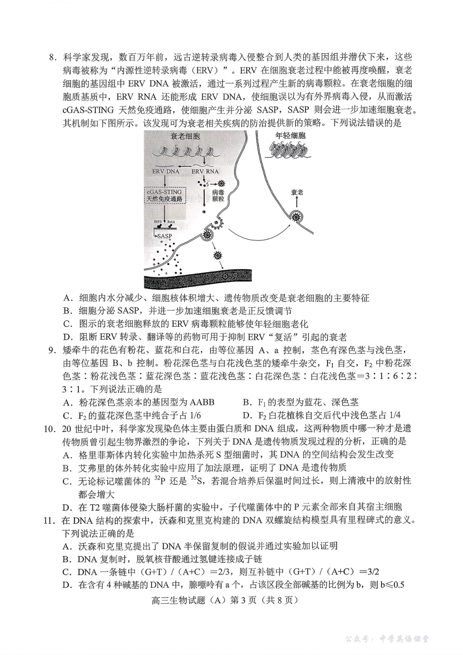 菏泽市A类高中2026届高三第一学期期中考试生物.pdf_第3页