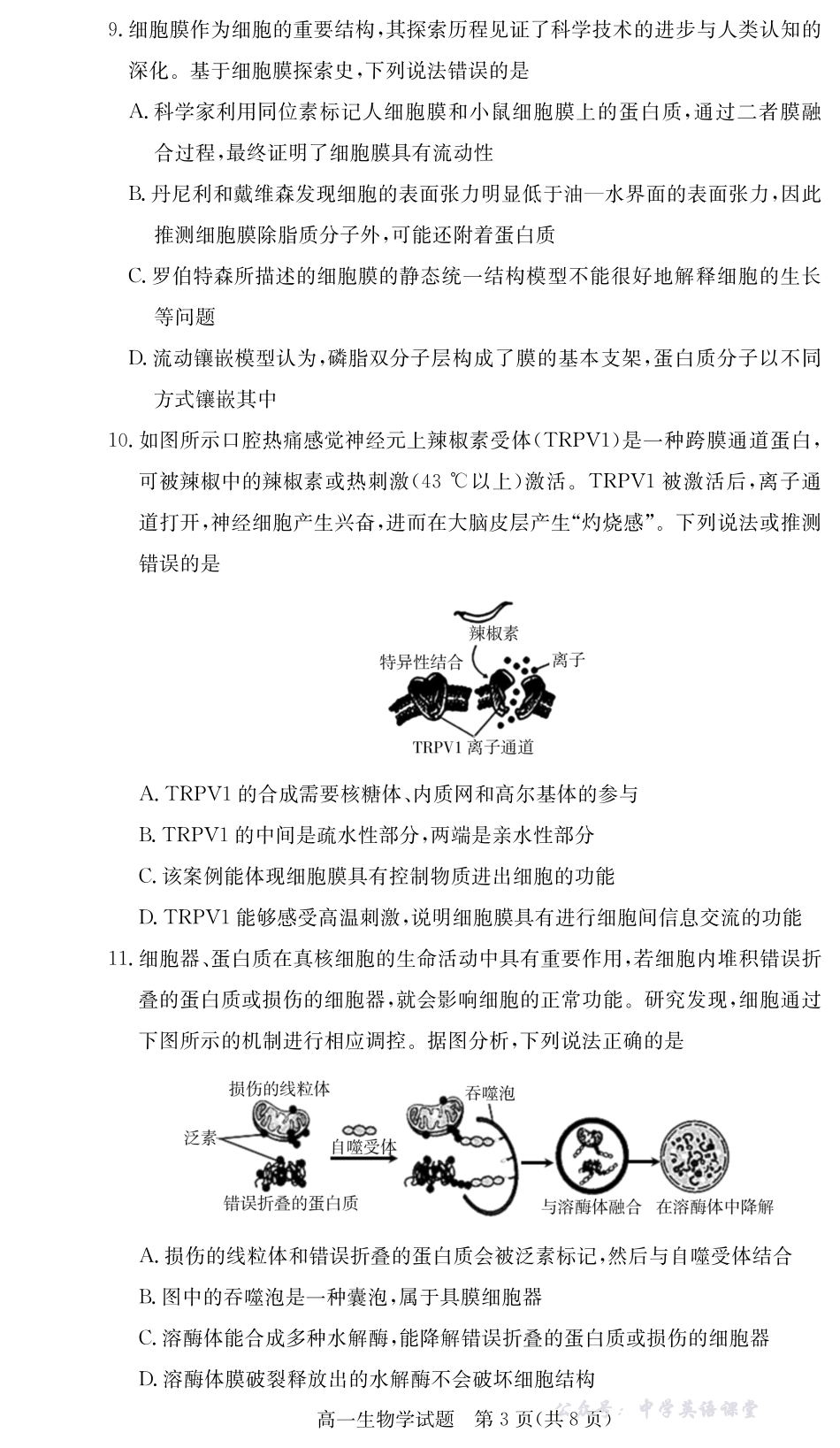湖南炎德英才名校联考联合体2025年秋季高一第二次(期中)联考生物试卷(高一11月联考).pdf_第3页