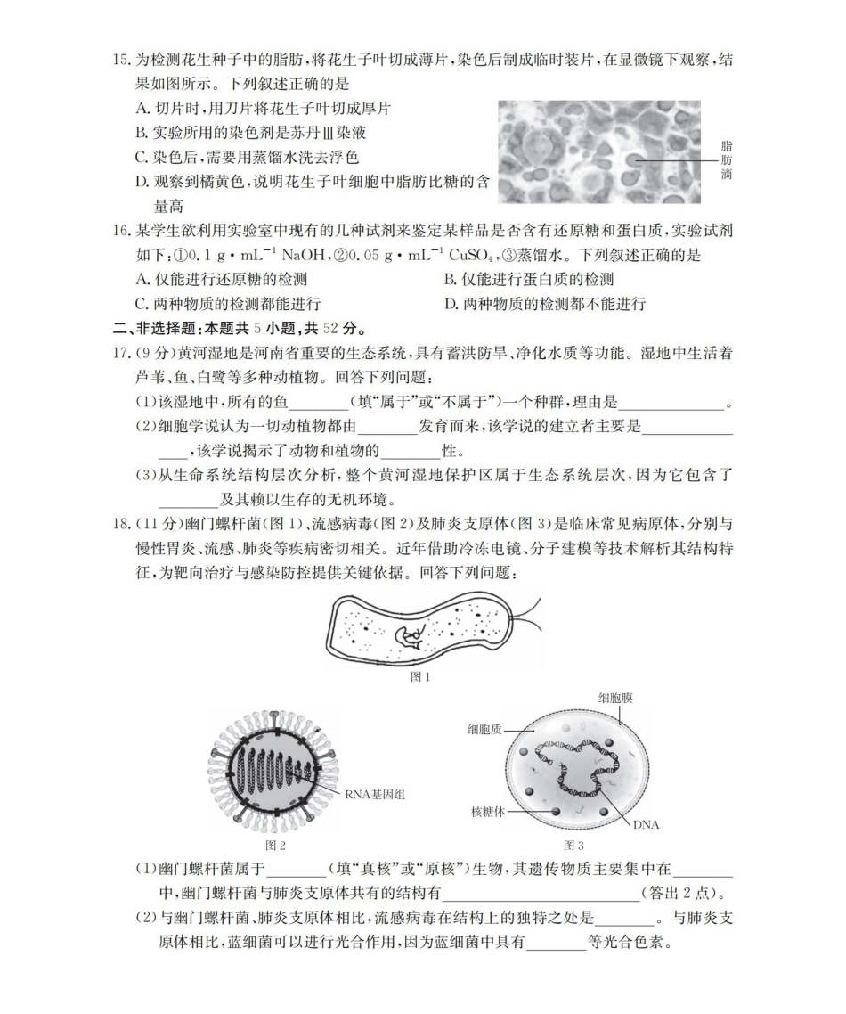金太阳26-45A2025-2026学年秋季高一年级上学期0月阶段考试生物.pdf_第3页