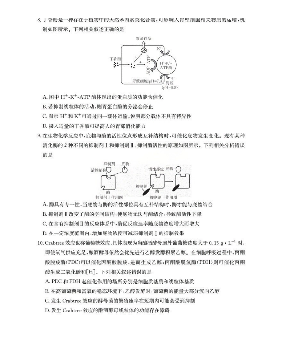 金太阳26-64C2026届高三上学期0月联考生物.pdf_第3页