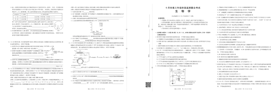 金太阳联考2025年十月份高三年级阶段监测联合考试(0.20-0.2)生物.pdf_第1页