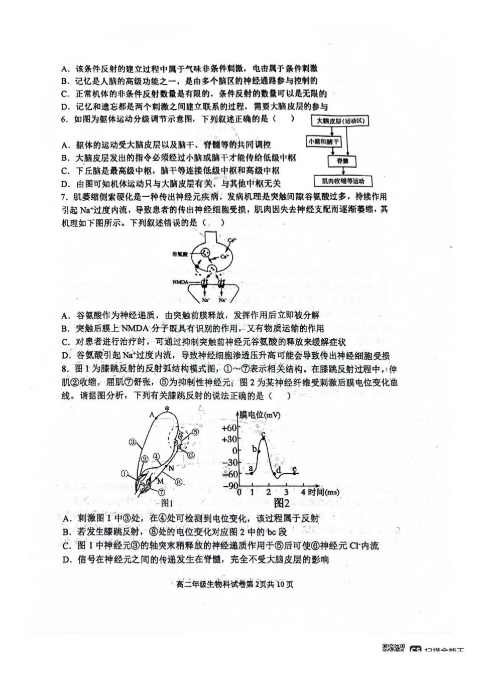 辽宁省大连市第八中学2025-2026学年高二上学期0月月考生物试题（有答案）.pdf_第2页