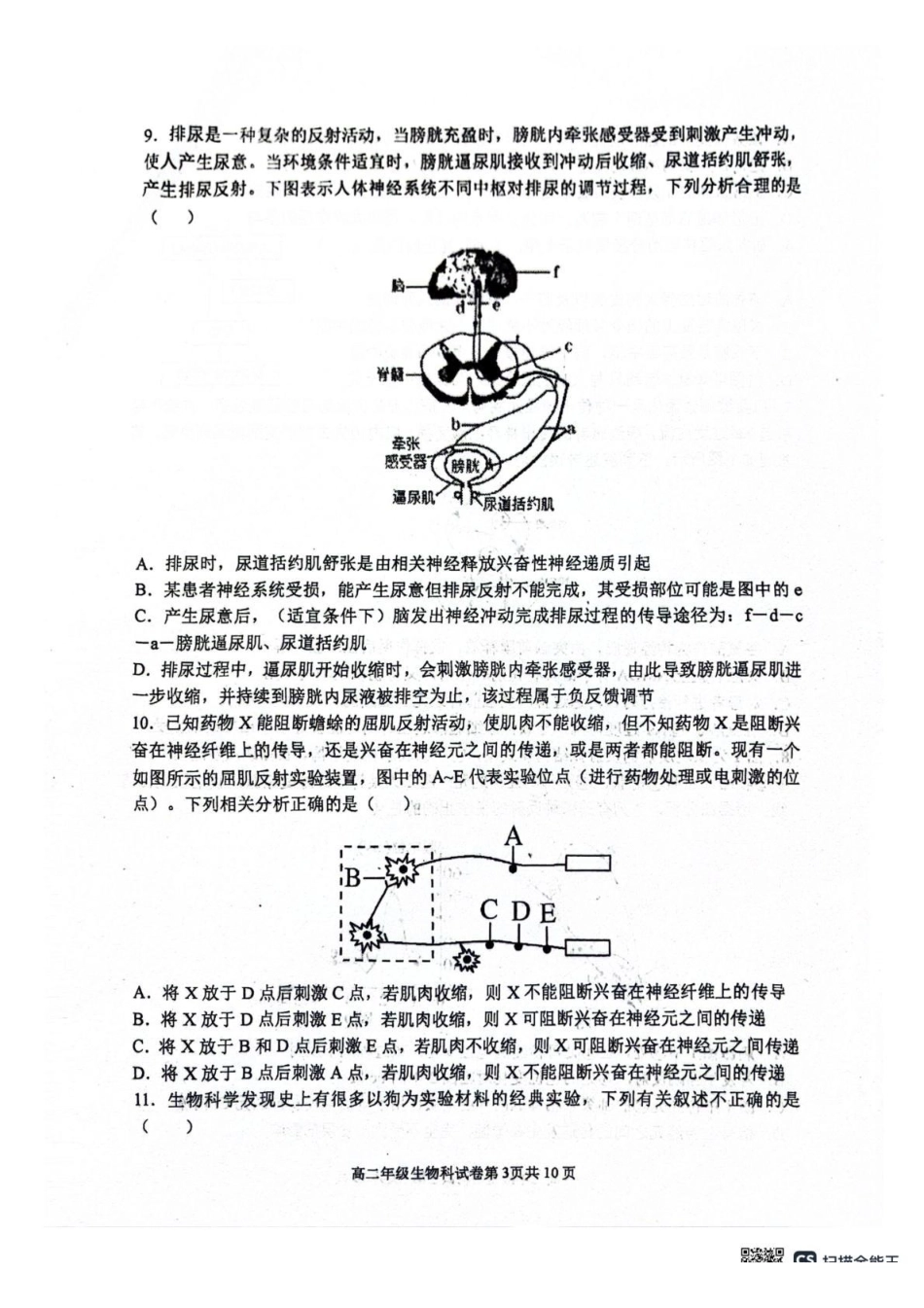 辽宁省大连市第八中学2025-2026学年高二上学期0月月考生物试题（有答案）.pdf_第3页