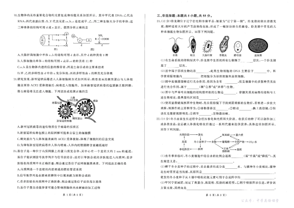 辽宁省点石联考2025-2026学年高一上学期11月期中生物试题含答案.pdf_第3页