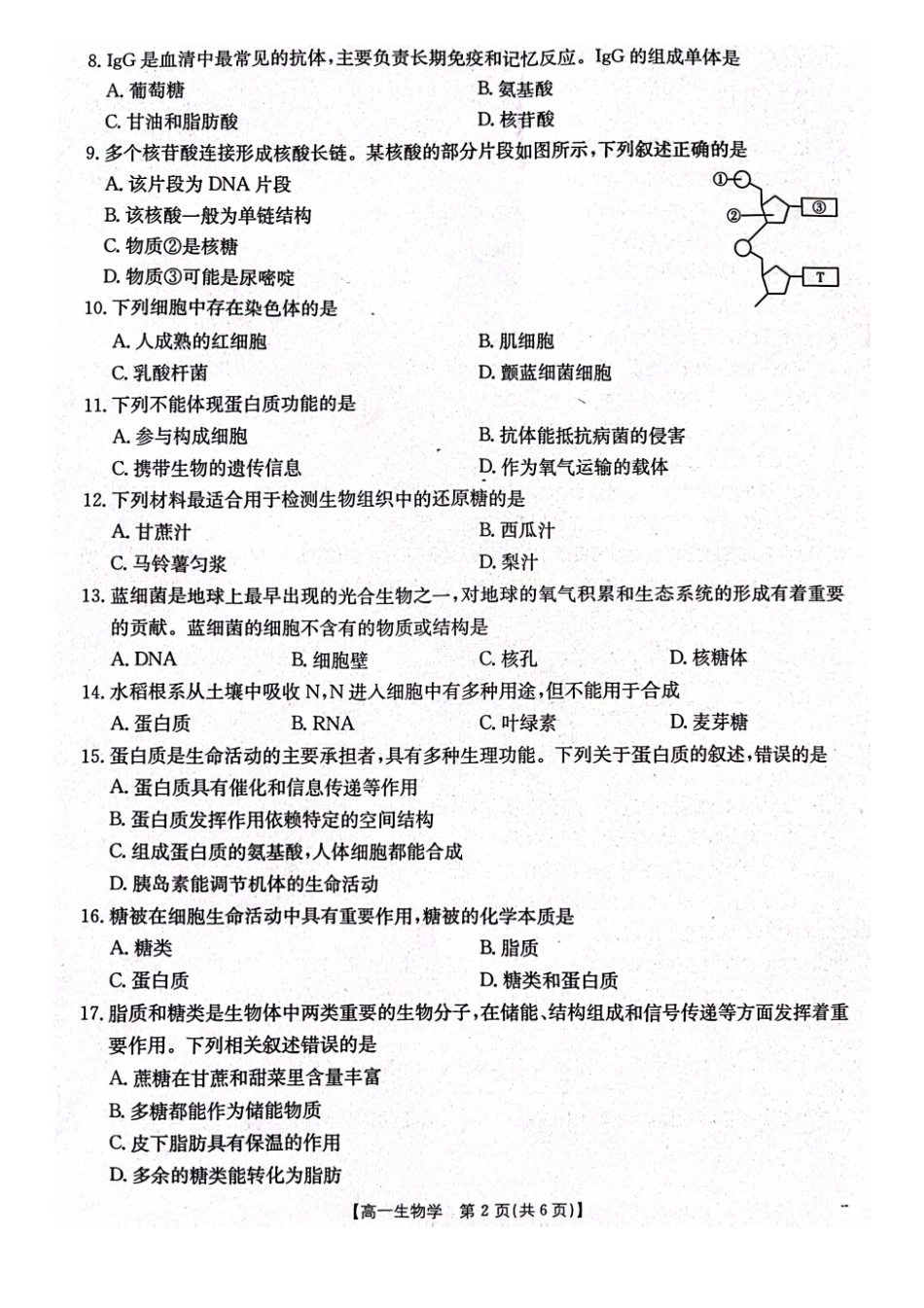 辽宁省辽阳市2024-2025学年高一上学期期中考试生物含答案.pdf_第2页