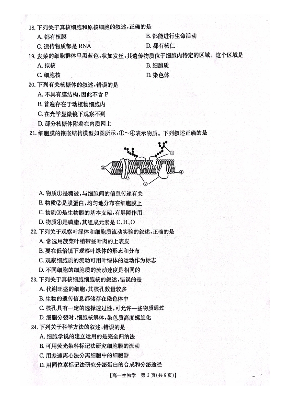 辽宁省辽阳市2024-2025学年高一上学期期中考试生物含答案.pdf_第3页