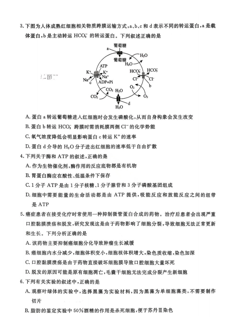 辽宁省名校联盟2025年高三月份联合考试生物.pdf_第2页