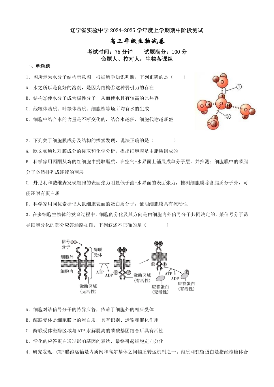 辽宁省实验中学2024-2025学年高三上学期期中考试生物试题.pdf_第1页