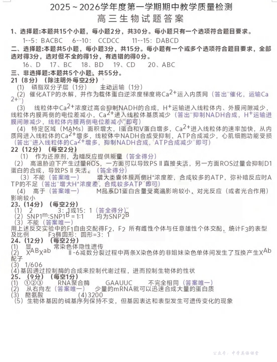 聊城市2025~2026学年度第一学期期中教学质量检测生物答案.pdf_第1页