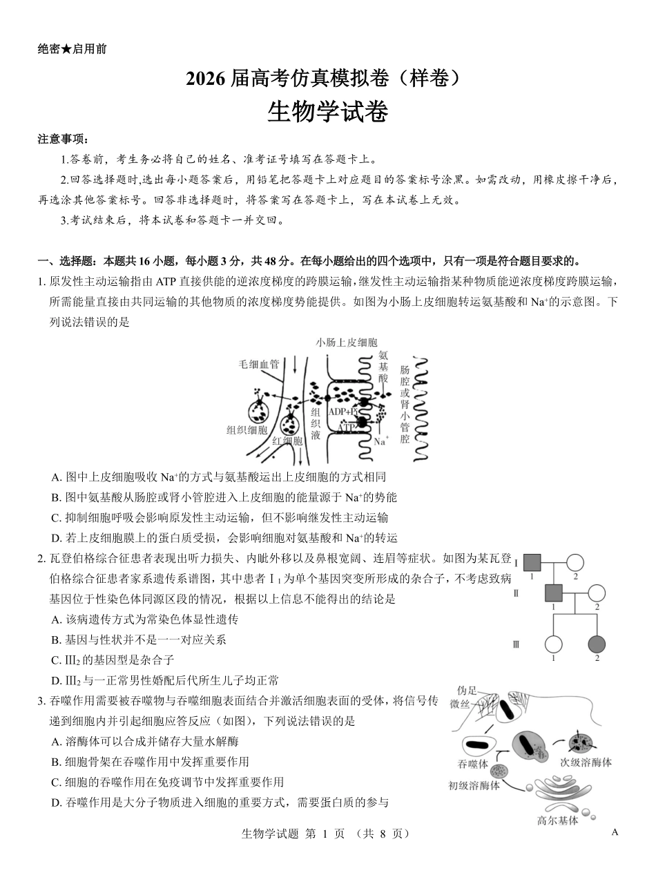 名校教研联盟2026届高考仿真模拟卷(样卷)生物.pdf_第1页