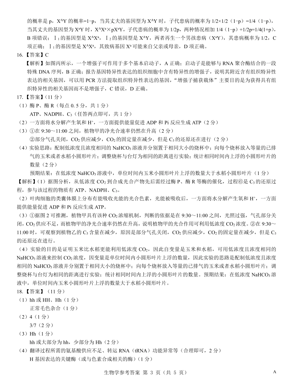 名校教研联盟2026届高考仿真模拟卷(样卷)生物答案.pdf_第3页