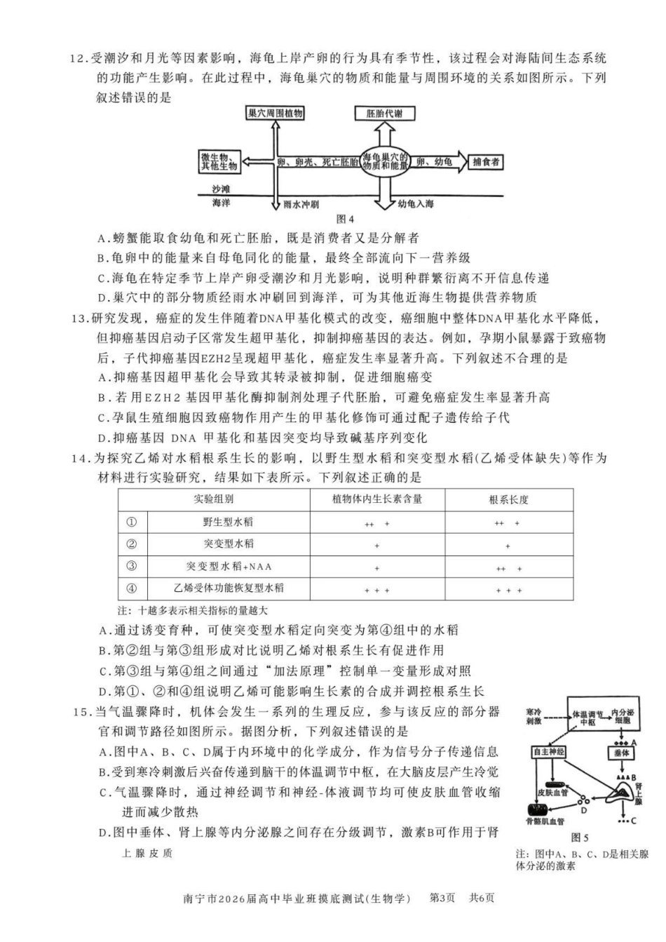 南宁市2026届高中毕业班摸底测试生物.pdf_第3页