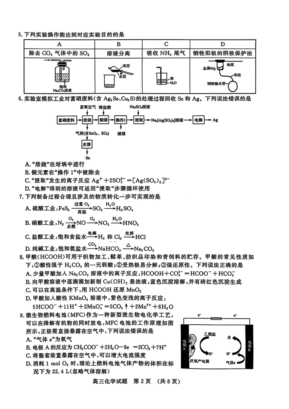 山东省名校考试联盟2024-2025学年高三上学期期中考试化学+答案.pdf_第2页