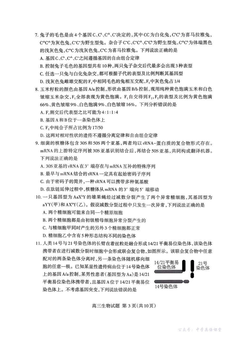 山东省泰安市2026届高三上学期期中考试生物.pdf_第3页