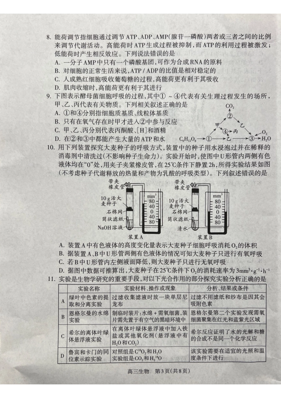 山西省吕梁市2024-2025学年高三上学期月期中生物试题.pdf_第3页