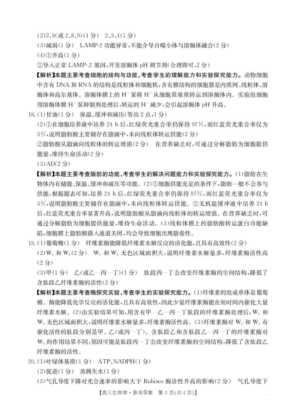 陕西省2025届高三上学期0月联考(26-83C)生物答案.pdf_第3页