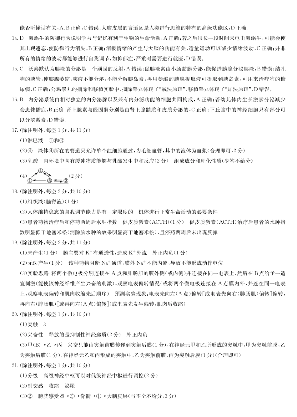 生物答案-河南洛阳强基联盟高二0月考.pdf_第2页