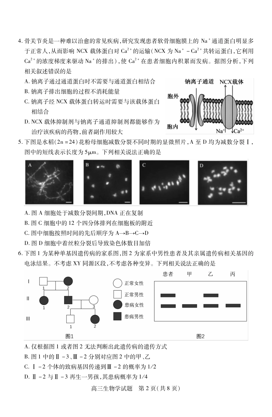 生物高三2025-2026期中试卷(月0日)山西省运城市2025-2026学年第一学期高三年级期中调研测试(.0-.).pdf_第2页