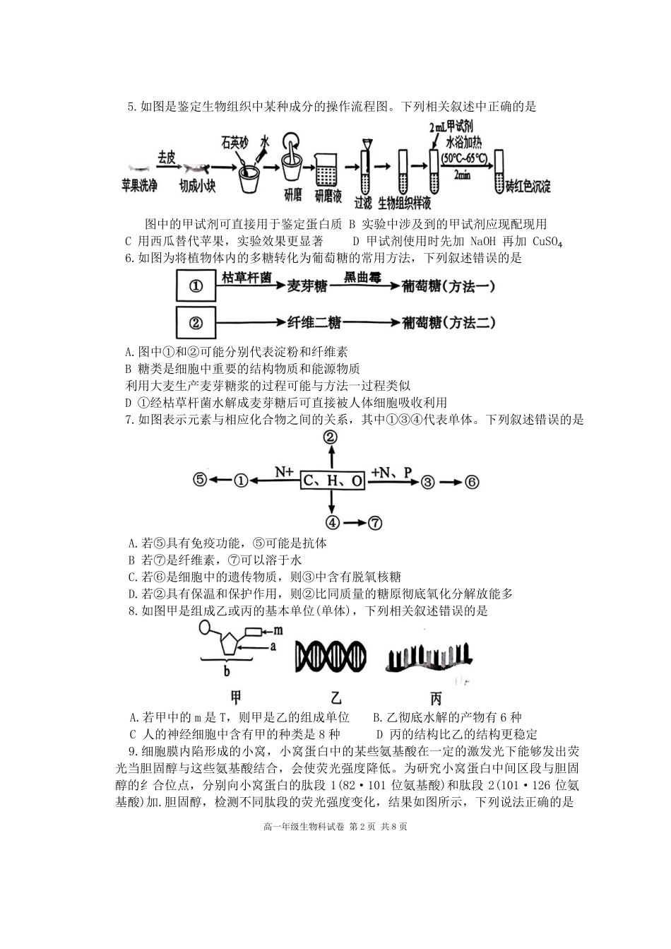生物-辽宁省大连市第二十四中学2025-2026高一（上）期中.pdf_第2页
