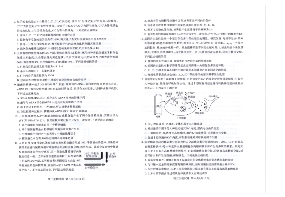 生物试卷()山东省泰安市2026届高三年级上学期11月期中教学质量检测考试(11.12-11.14).pdf_第2页