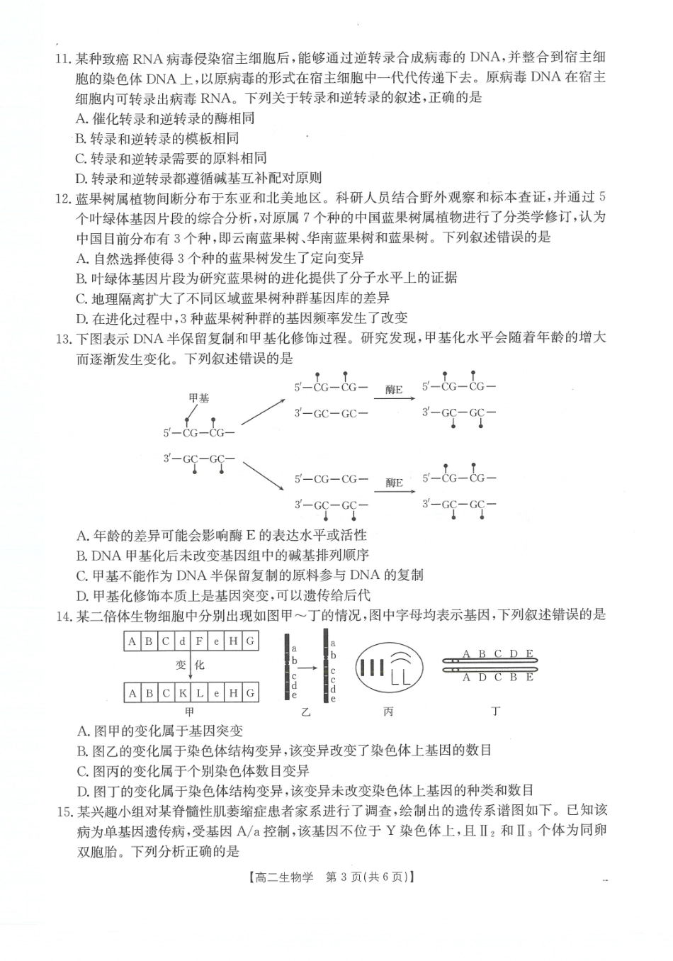 生物试卷(26-28B)【高二】河南省金太阳2025-2026年度上学期高二年级第一次联考(25-28B)(0.23-0.24).pdf_第2页