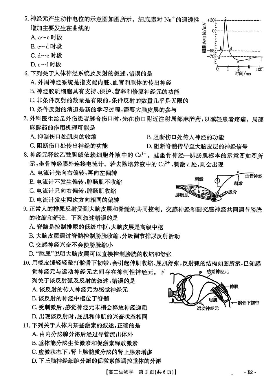 生物试卷(26-35B)(B2)【高二】河北省金太阳2027届高二年级0月份联考(26-35B)(0.5-0.6).pdf_第2页