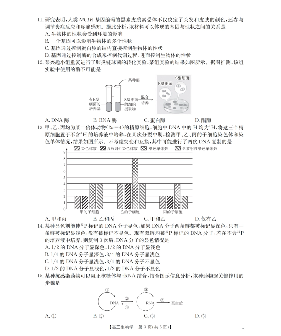 生物试卷(26-60C)【老(旧)高考卷】新疆维吾尔族自治区金太阳2026届高三上学期10月联考(26-60C)(10.30-10.31).pdf_第3页