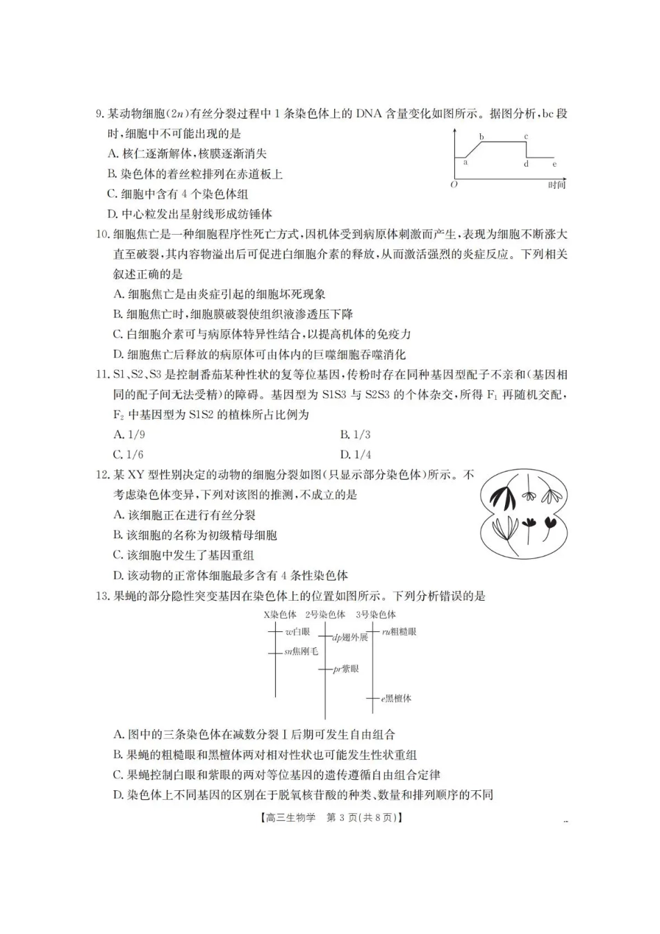 生物试卷(26-71C)+答案【黑吉辽蒙卷】辽宁省葫芦岛市、县2025-2026学年度上学期协作校高三年级第一次考试(26-71C).pdf_第3页