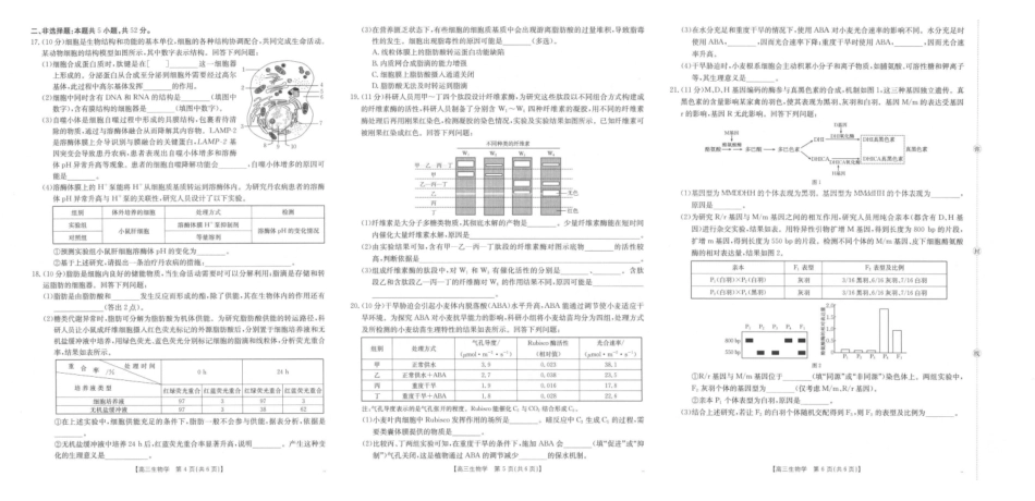 生物试卷(26-83C)金太阳26-83C2026届高三上学期0月联考(0.30-0.3).pdf_第2页