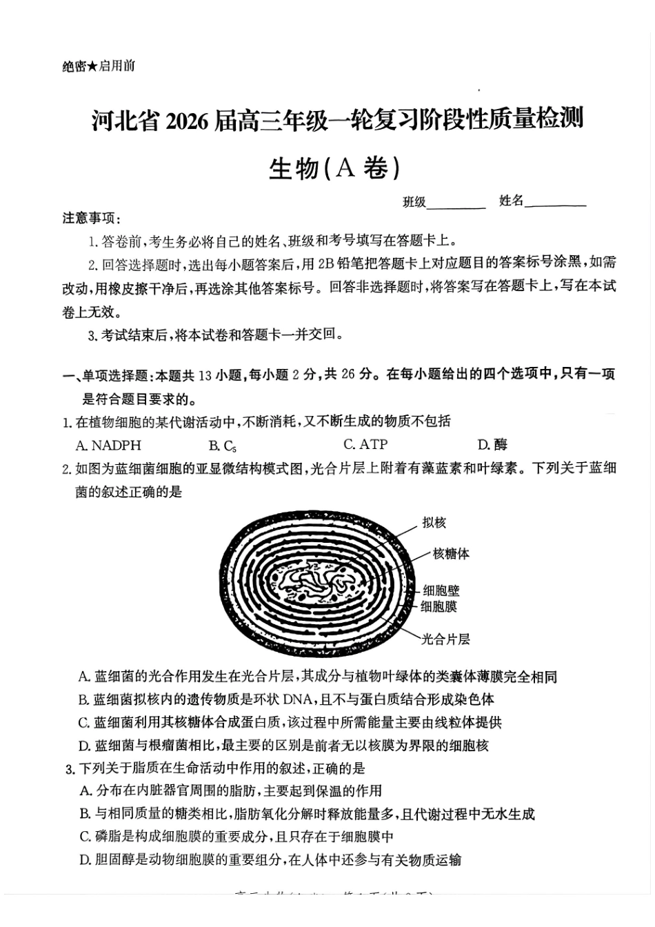 生物试卷(A卷)河北省2026届高三年级一轮复习阶段性质量检测(0.29-0.30).pdf_第1页