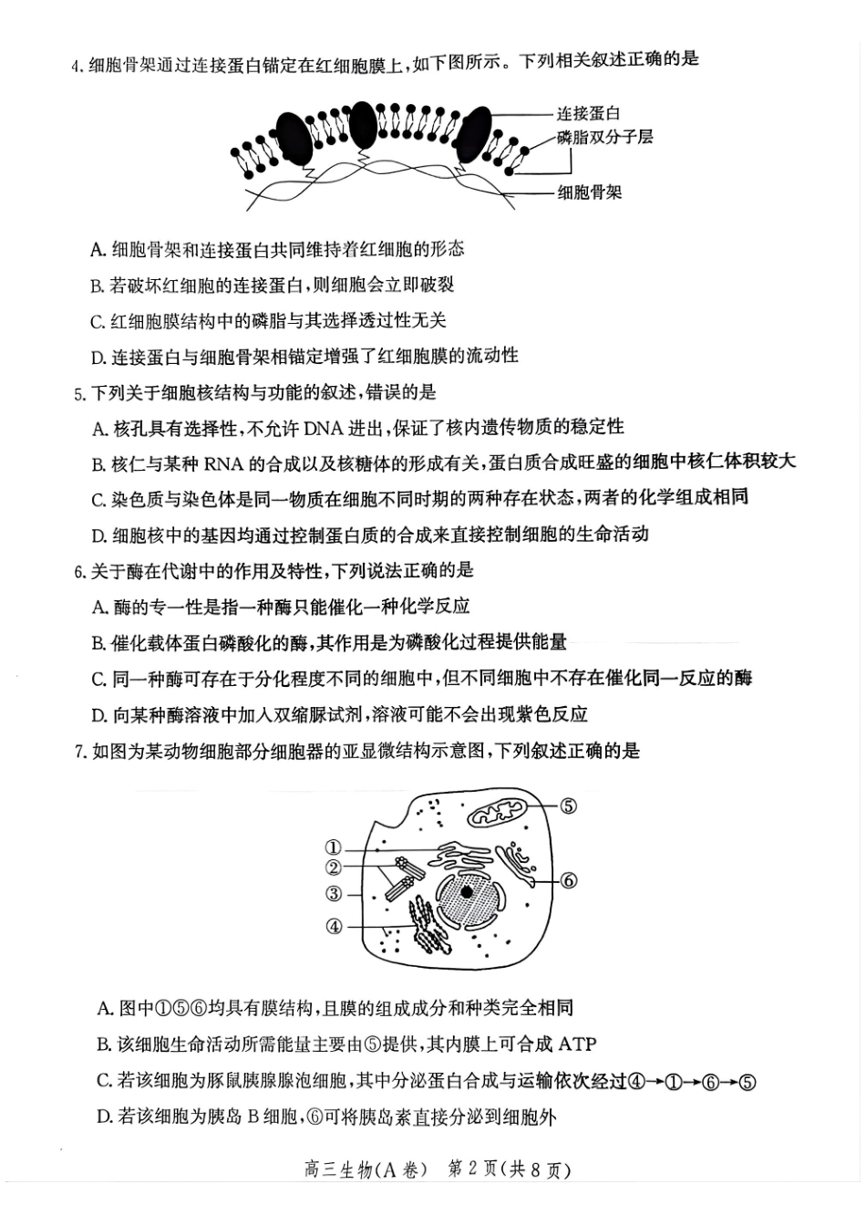 生物试卷(A卷)河北省2026届高三年级一轮复习阶段性质量检测(0.29-0.30).pdf_第2页