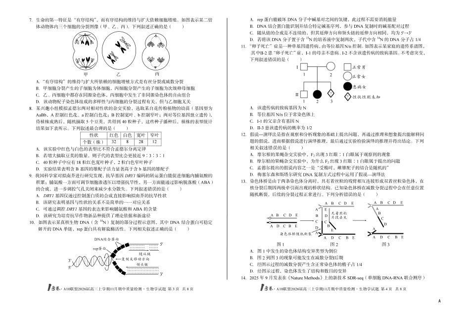 生物试卷(高清版)安徽省号卷A0联盟2026届高三上学期月期中质量检测(.3-.4).pdf_第2页