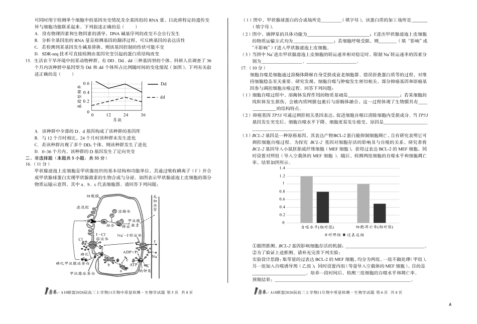 生物试卷(高清版)安徽省号卷A0联盟2026届高三上学期月期中质量检测(.3-.4).pdf_第3页
