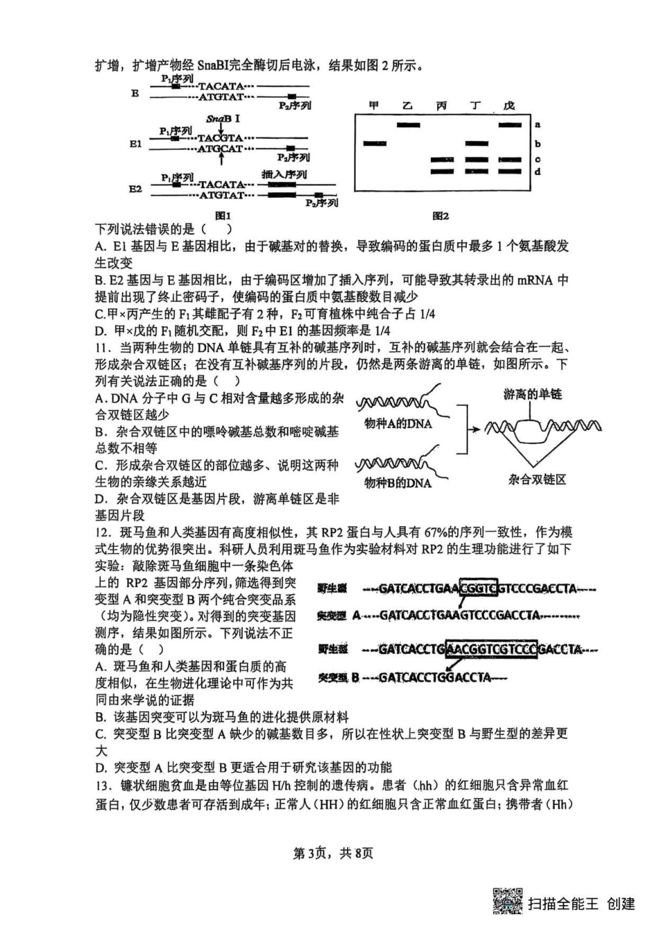 生物试卷【Top30强校】山西省太原市山西大学附属中学校2025-2026学年高三上学期0月模块诊断(总第五次)(0.28-0.29).pdf_第3页