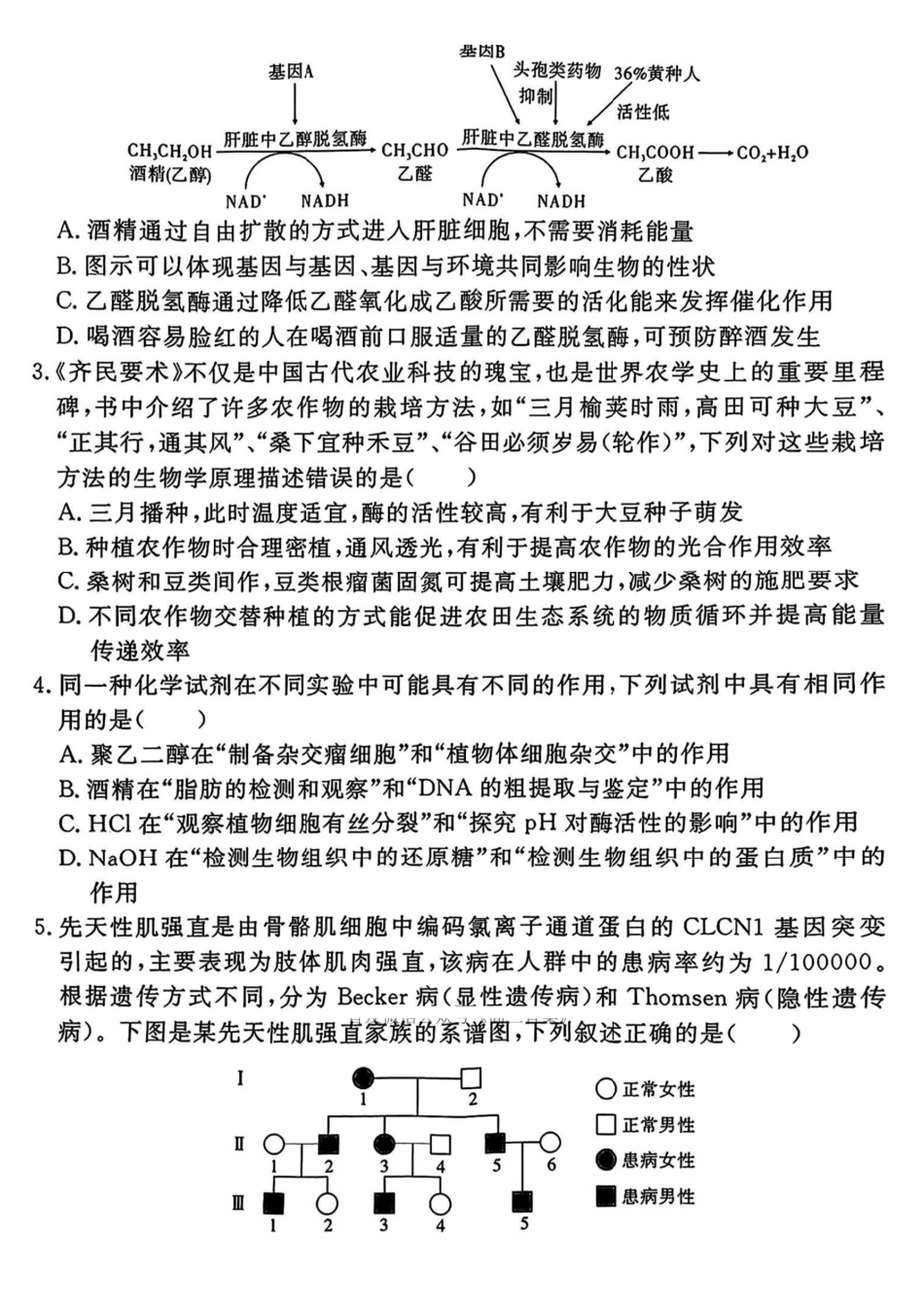 生物试卷【Top35强校】安徽省合肥一六八中学2025届高三最后一卷(耀正(优+)文化)(5.29-5.30).pdf_第2页