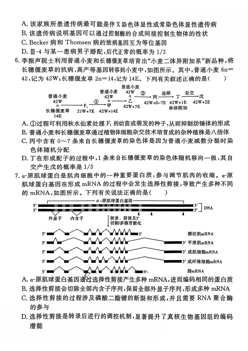 生物试卷【Top35强校】安徽省合肥一六八中学2025届高三最后一卷(耀正(优+)文化)(5.29-5.30).pdf_第3页