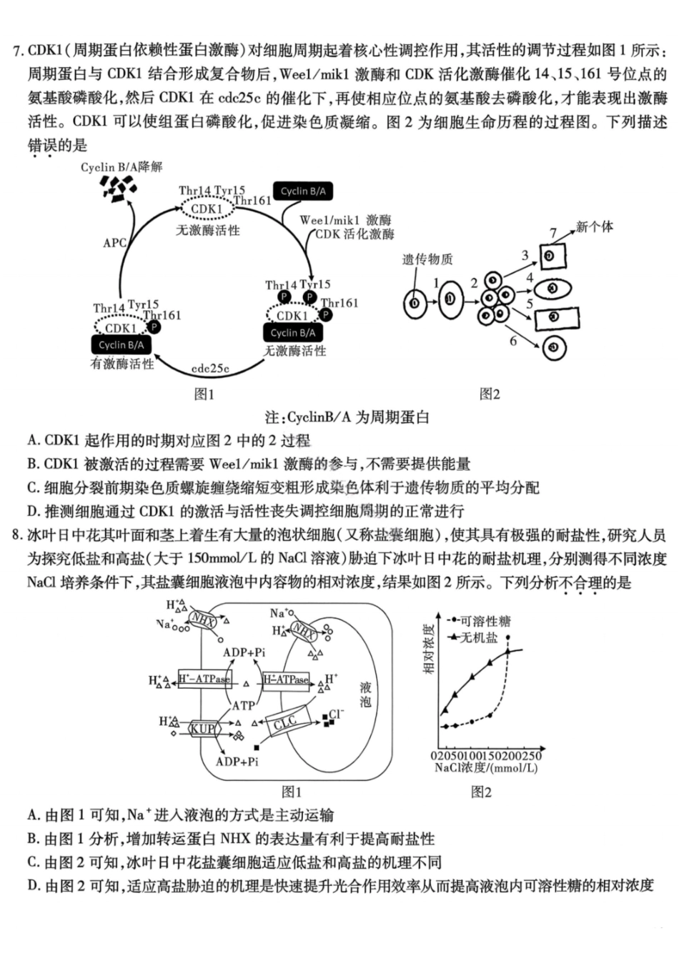 生物试卷【Top50强校】重庆市南开中学高2026届高三第三次质量检测(.7-.8).pdf_第3页