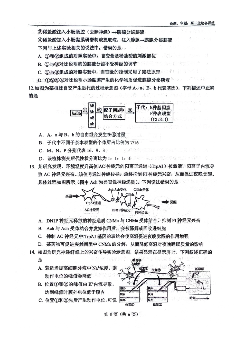 生物试卷【高二】广西壮族自治区南宁二中2025-09月高二月考(9.27-9.28).pdf_第3页
