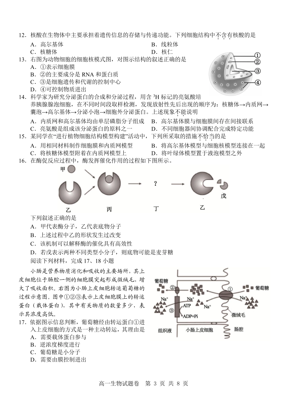 生物试卷【高一】浙江省杭州市地区(含周边)重点中学2025学年第一学期高一年级期中考试(11.10-11.12).pdf_第3页