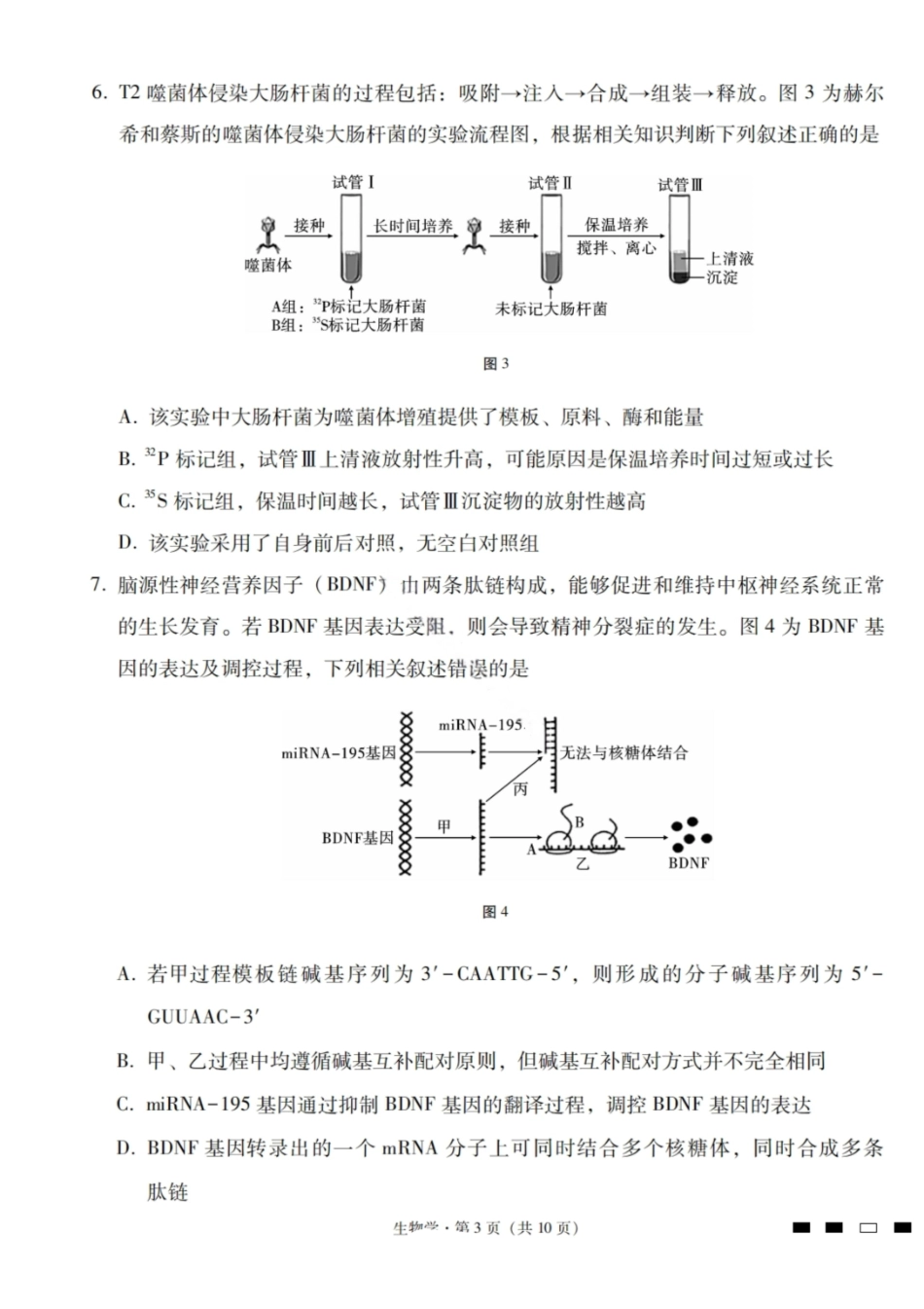生物试卷【云南卷】云南省三校2026届高三高考备考实用性联考卷(四)(11.13-11.14).pdf_第3页